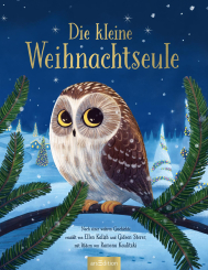 Die kleine Weihnachtseule 