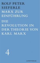 Marx zur Einführung / Die Revolution in der Theorie von Karl Marx 