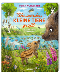 Wie werden kleine Tiere groß? 