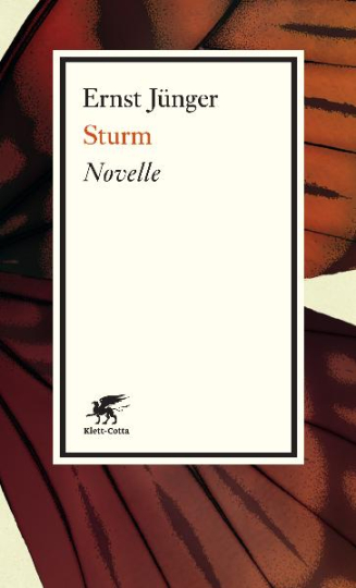 Sturm. Novelle 