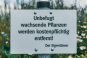 morepic-4