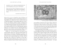 morepic-4