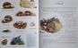 morepic-5