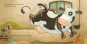 morepic-6
